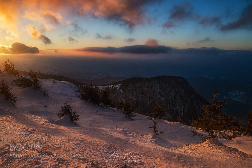 Sony a7R II sample photo. Amazing sunset! photography