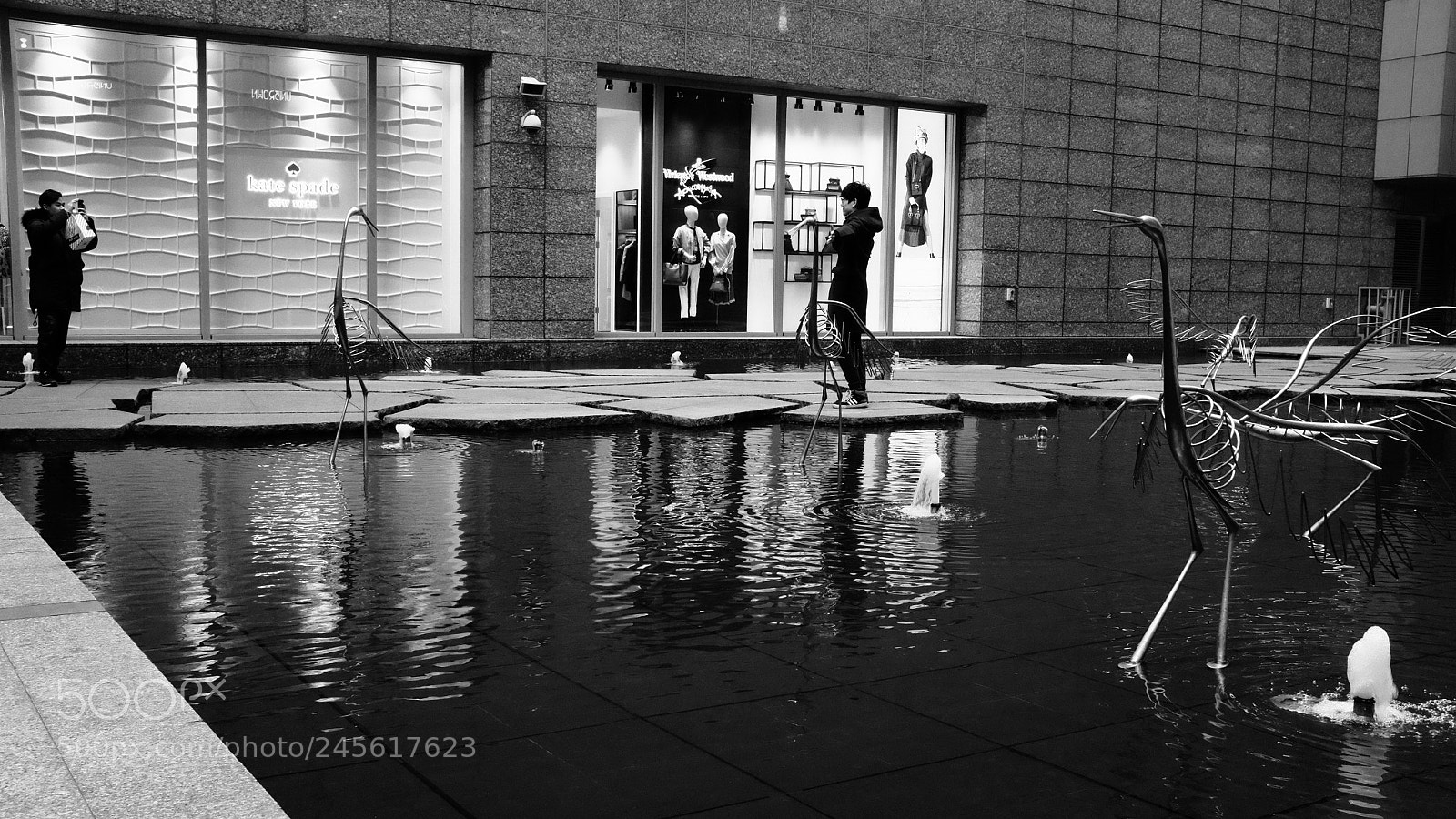 Fujifilm X100T sample photo. Crane photography