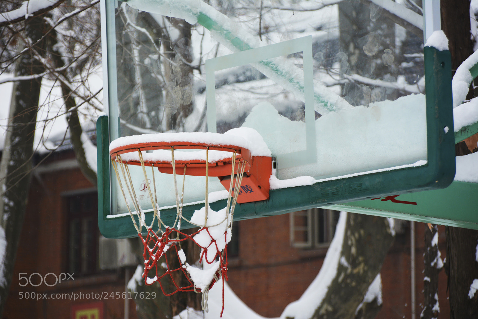 Nikon D7100 sample photo. Basket photography