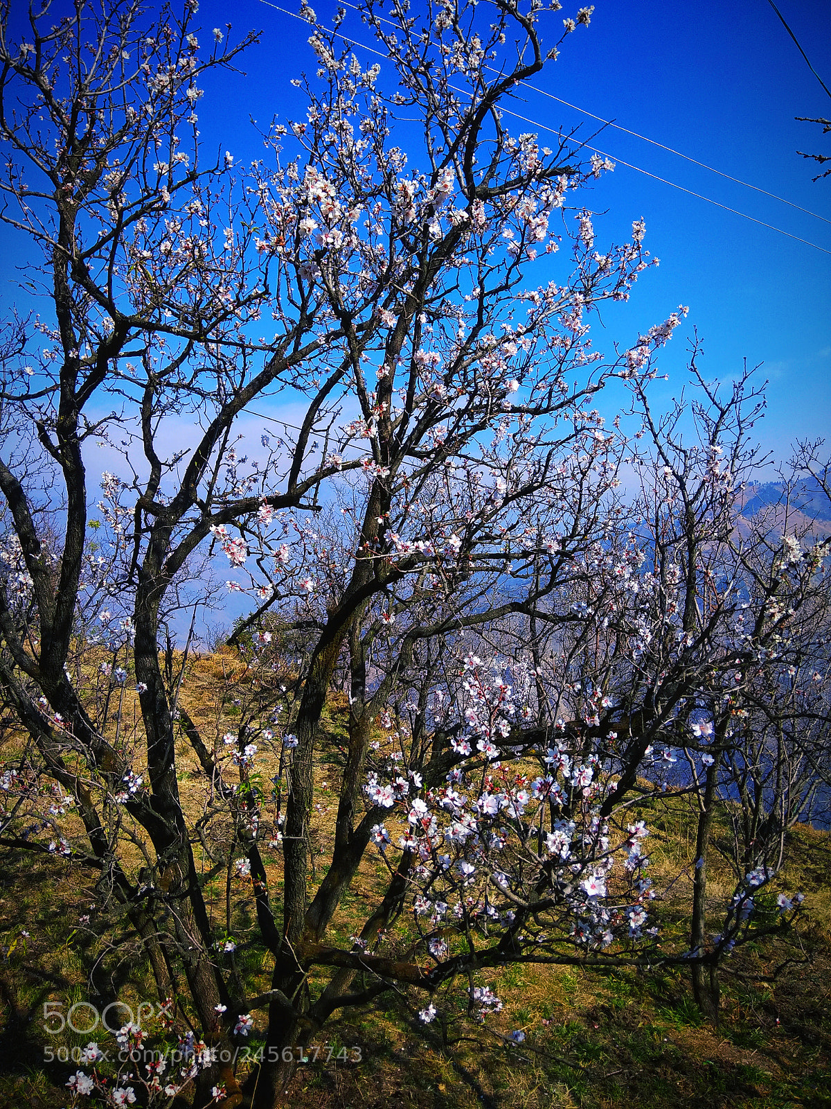 Xiaomi Redmi Note 4 sample photo. Untitled photography