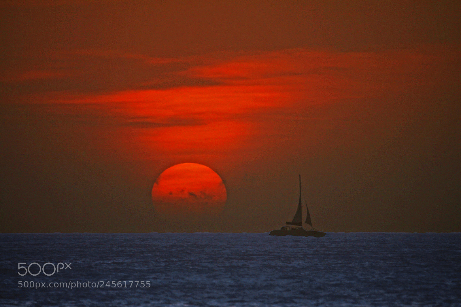 Canon EOS 50D sample photo. Sailor's delight photography