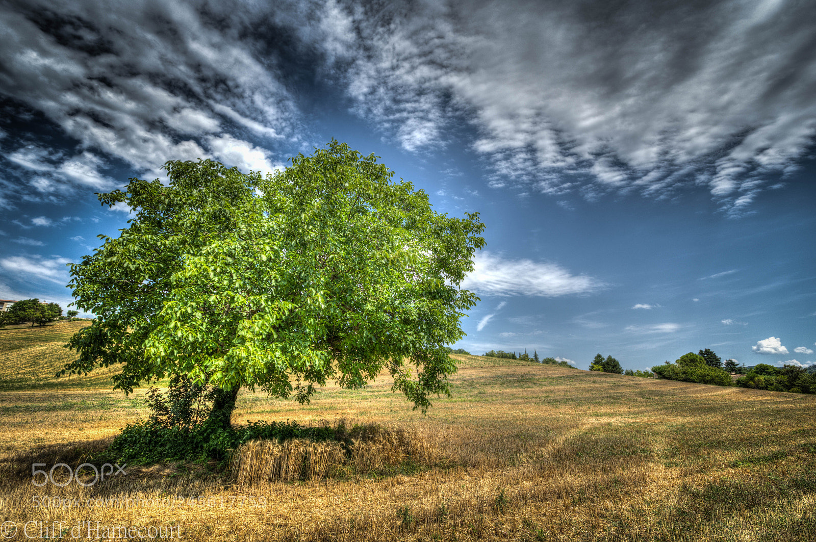Nikon D7200 sample photo. Frankrijk photography