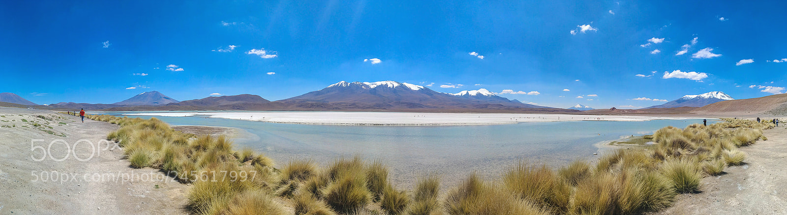LG V20 sample photo. Laguna colorada photography
