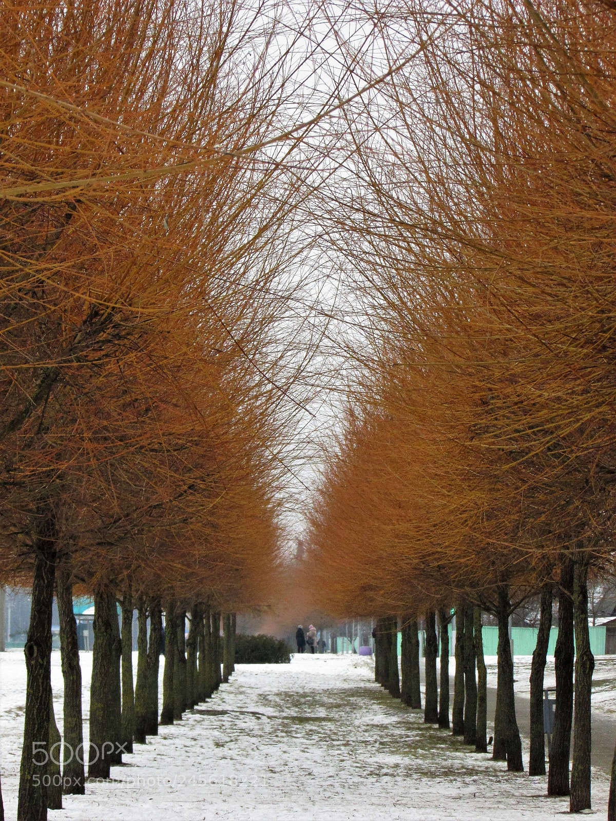 Canon PowerShot SX400 IS sample photo. Img photography