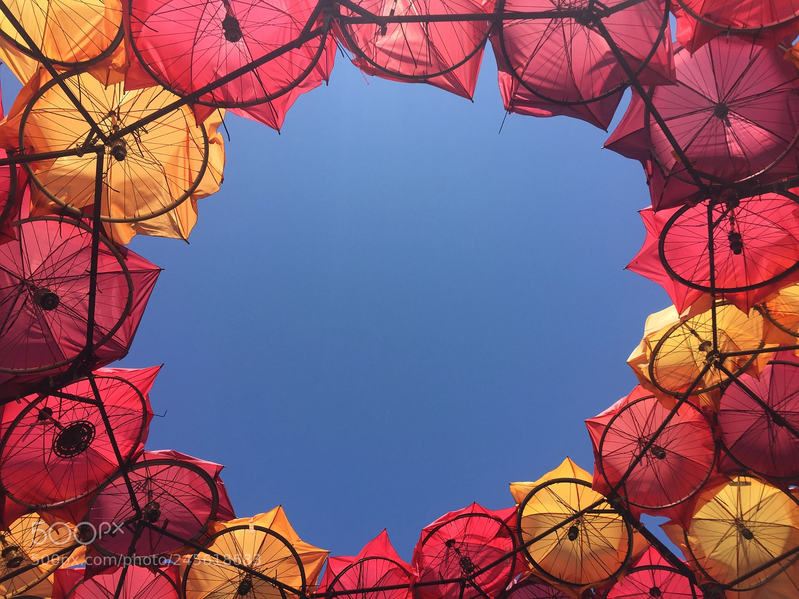 Apple iPhone 6 sample photo. Summer colors photography