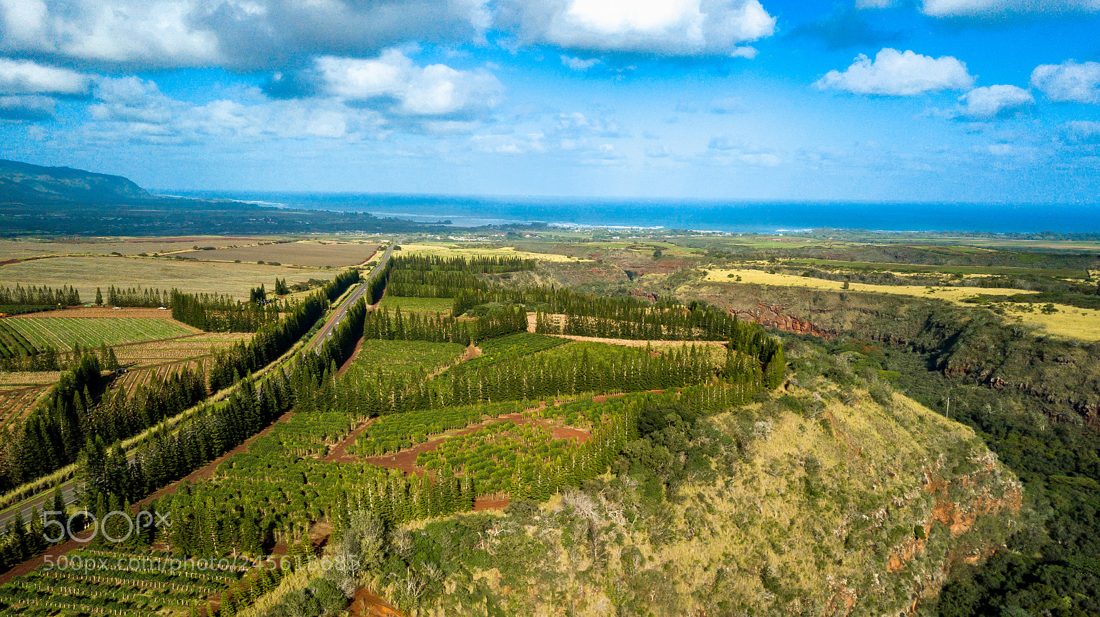 DJI FC220 sample photo. Kamehameha highway photography