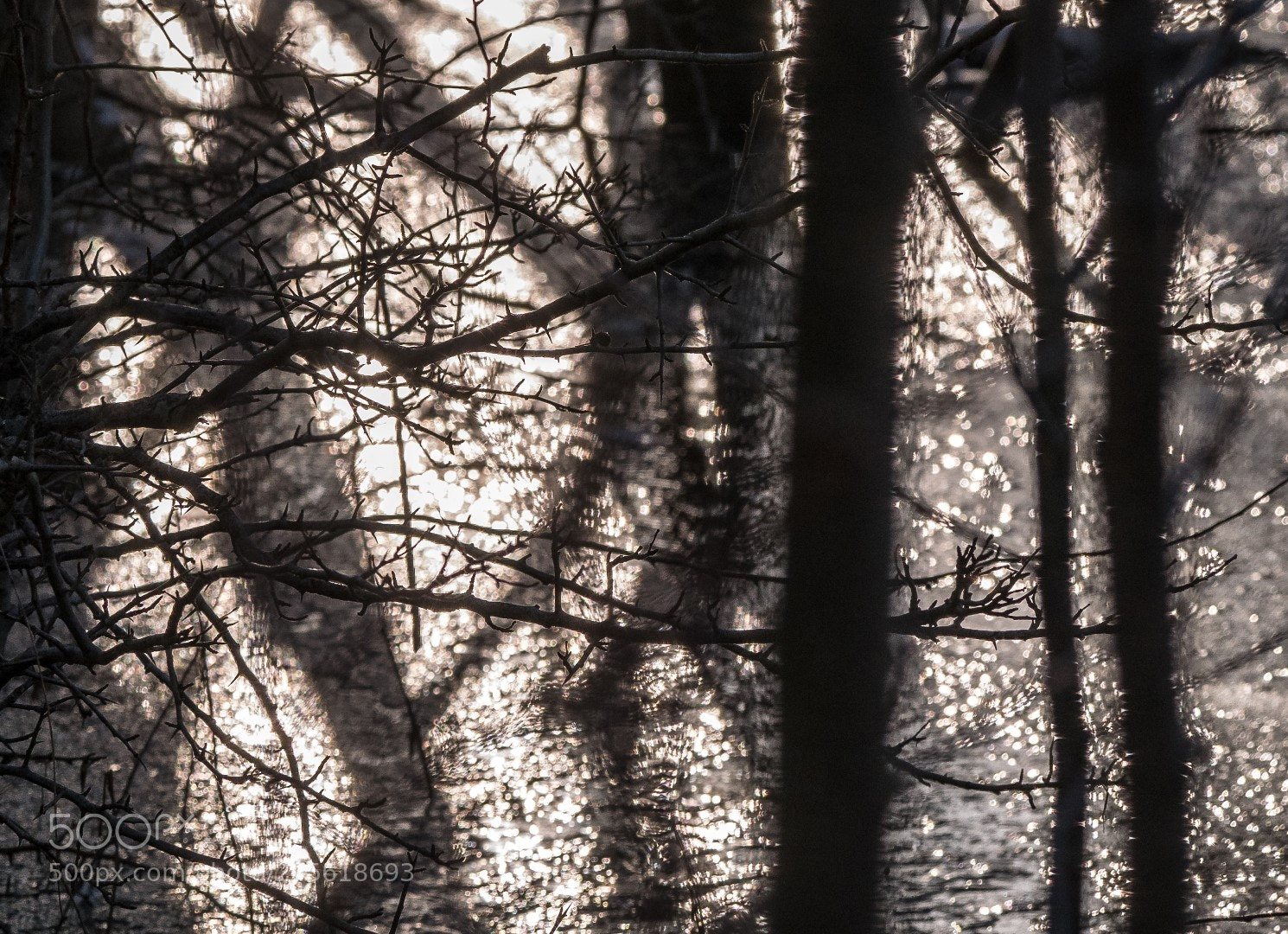 Panasonic Lumix DMC-GX85 (Lumix DMC-GX80 / Lumix DMC-GX7 Mark II) sample photo. Sun, ice, trees photography