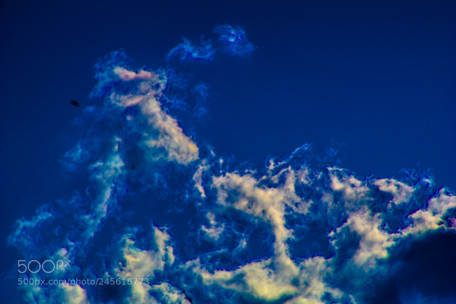 Sony a5100 sample photo. Walking on castione pt5 photography