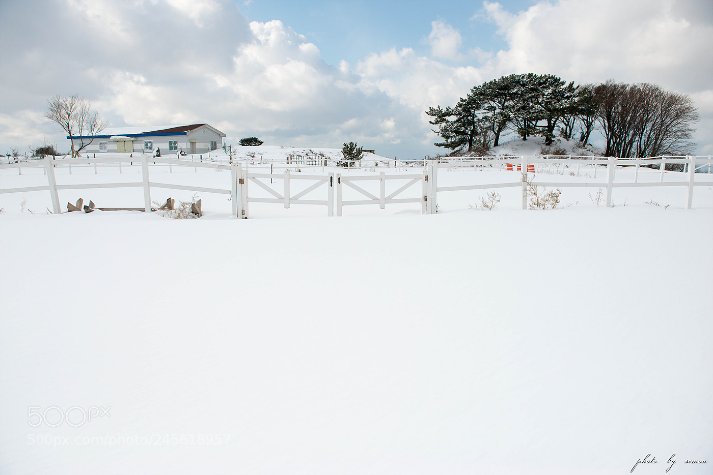 Nikon D800 sample photo. Snowy landscape photography