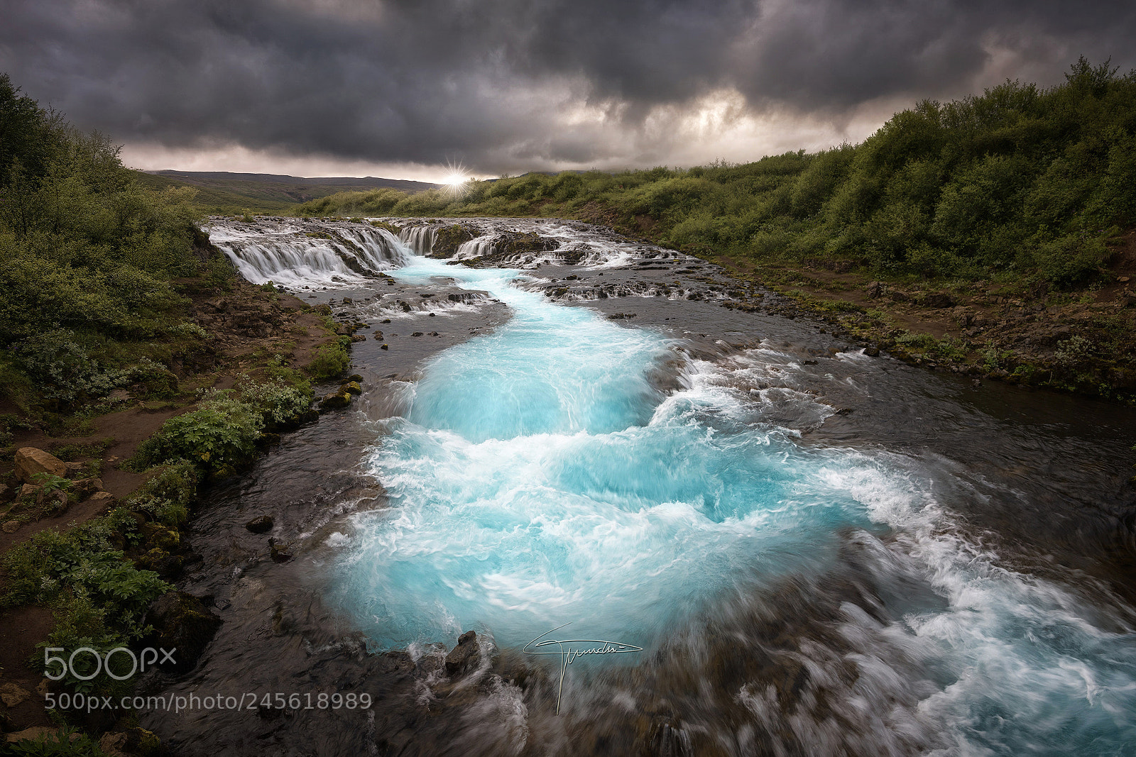 Nikon D810 sample photo. Br arfoss in br photography