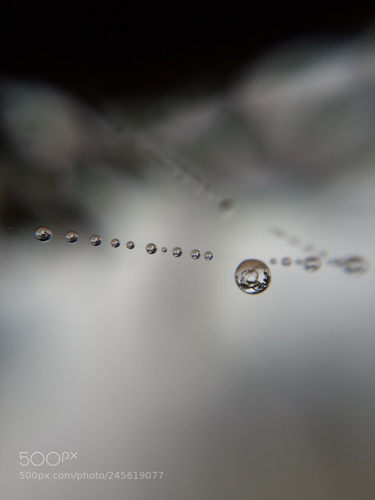 Samsung Galaxy S4 sample photo. *** photography