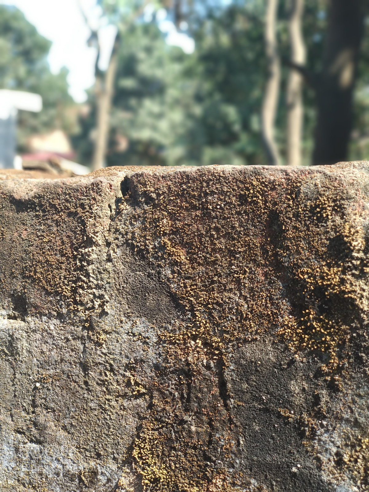 Xiaomi Mi A1 sample photo. Img_20180210_134836.jpg photography