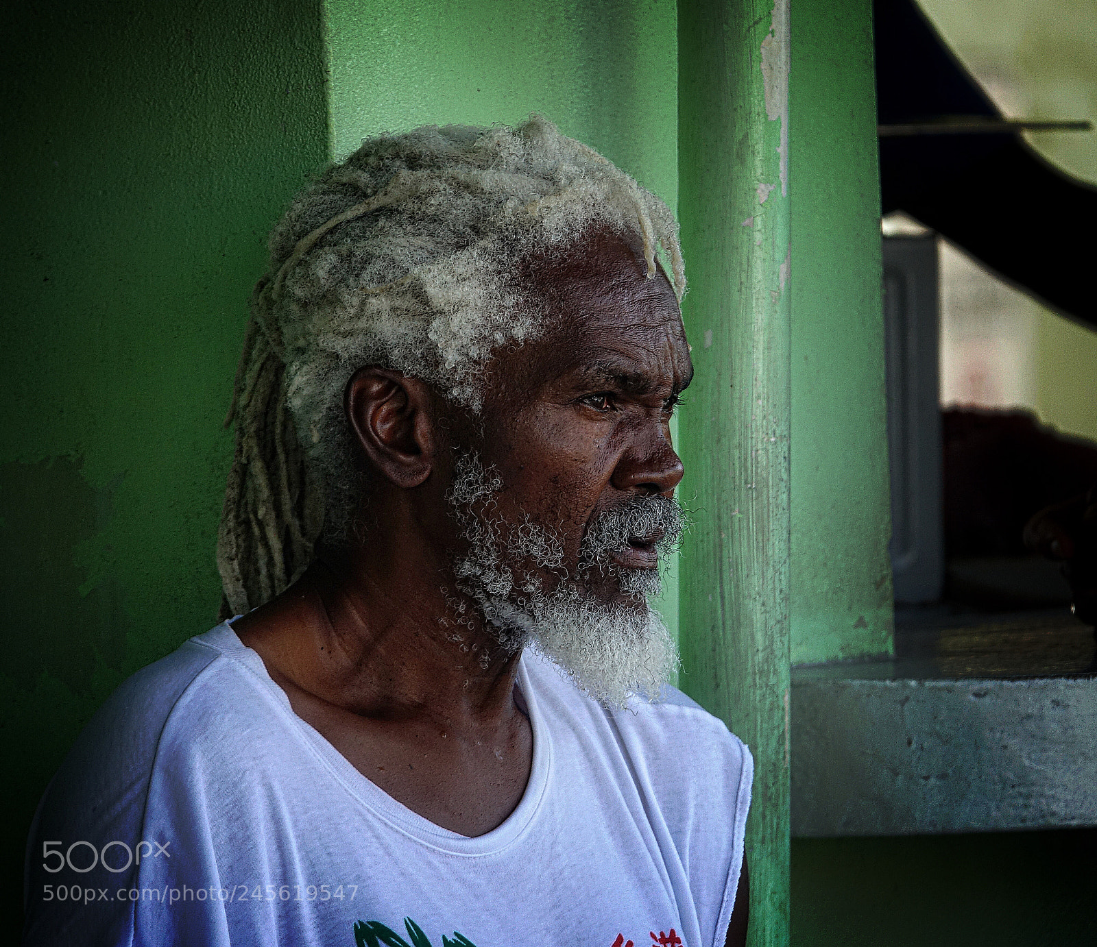 Sony Cyber-shot DSC-RX10 III sample photo. A portrait.. photography