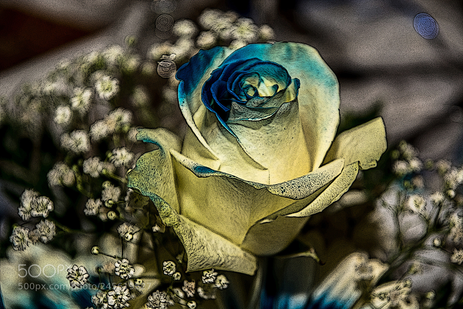 Nikon D7100 sample photo. A particular day photography