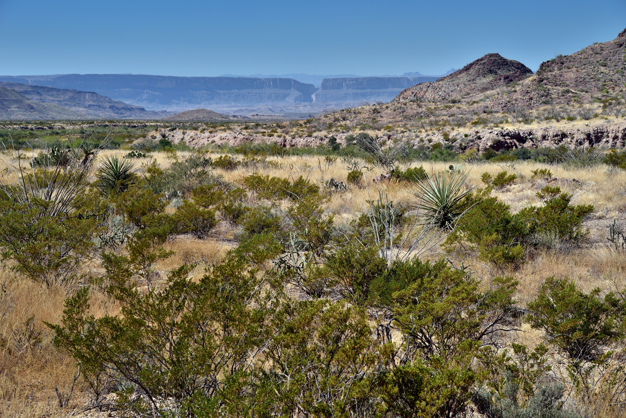 Nikon D800E sample photo. Across the big bend landscape to the santa elena canyon photography
