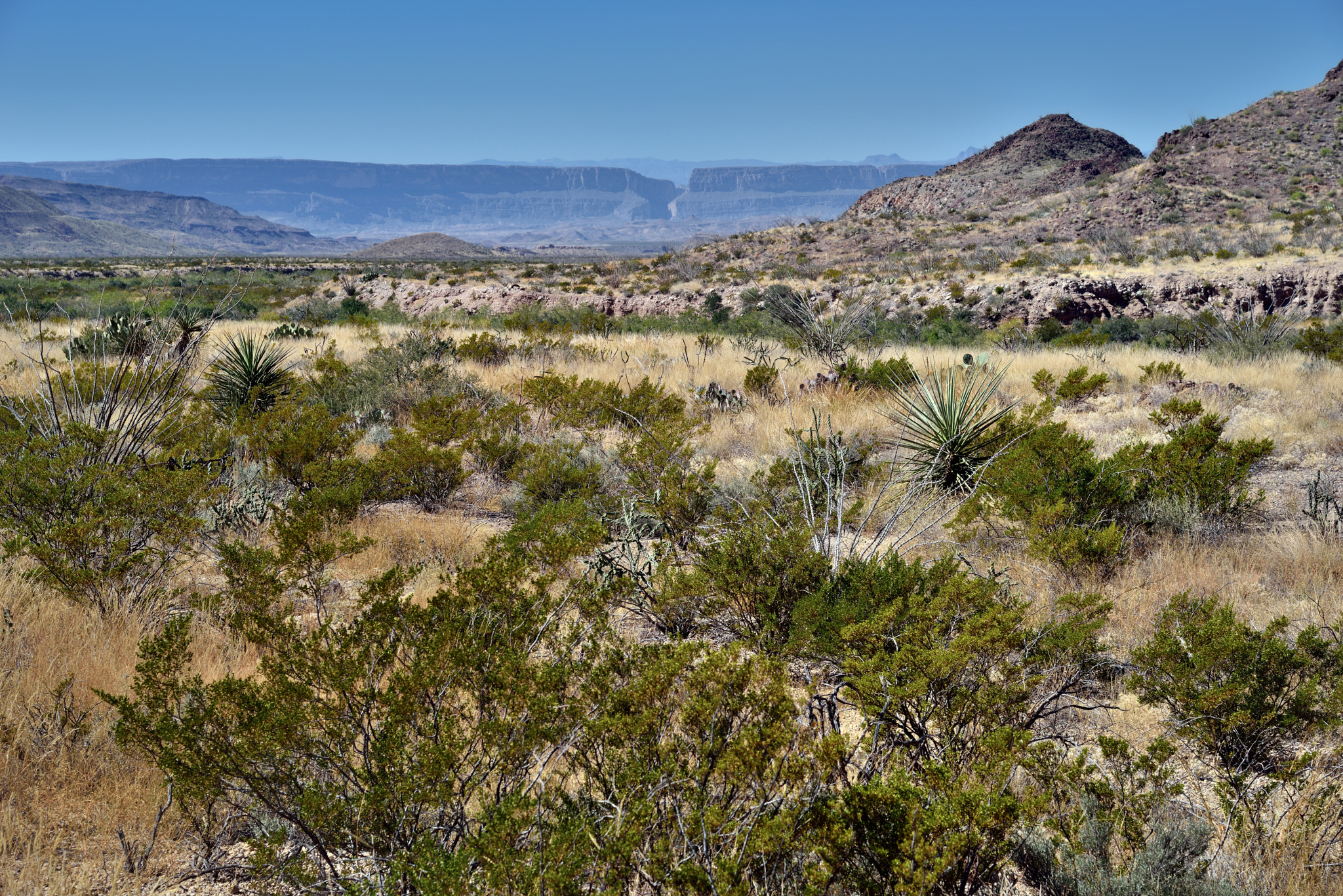Nikon AF-S Nikkor 24-120mm F4G ED VR sample photo. Across the big bend landscape to the santa elena canyon photography