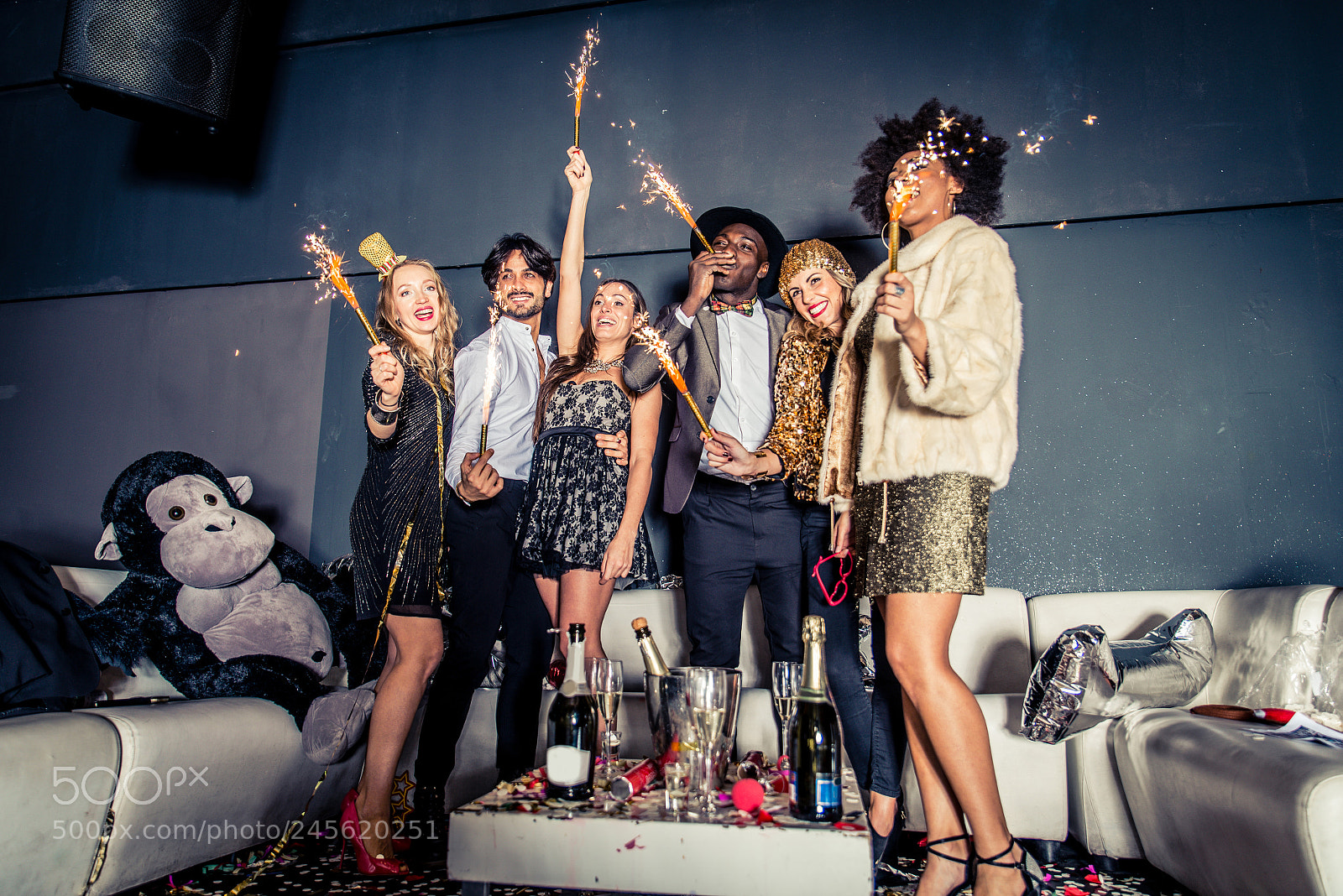 Nikon D610 sample photo. Friends having party in photography