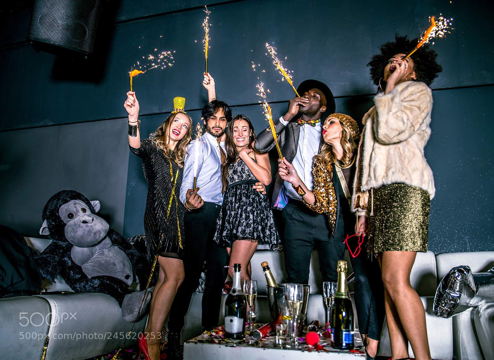 Nikon D610 sample photo. Friends having party in photography