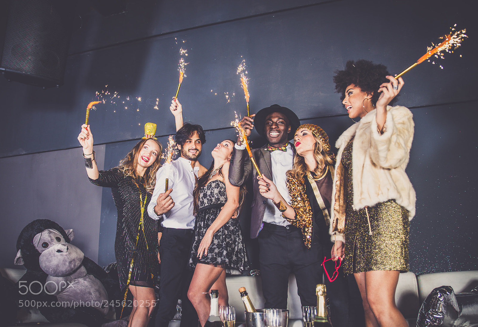 Nikon D610 sample photo. Friends having party in photography