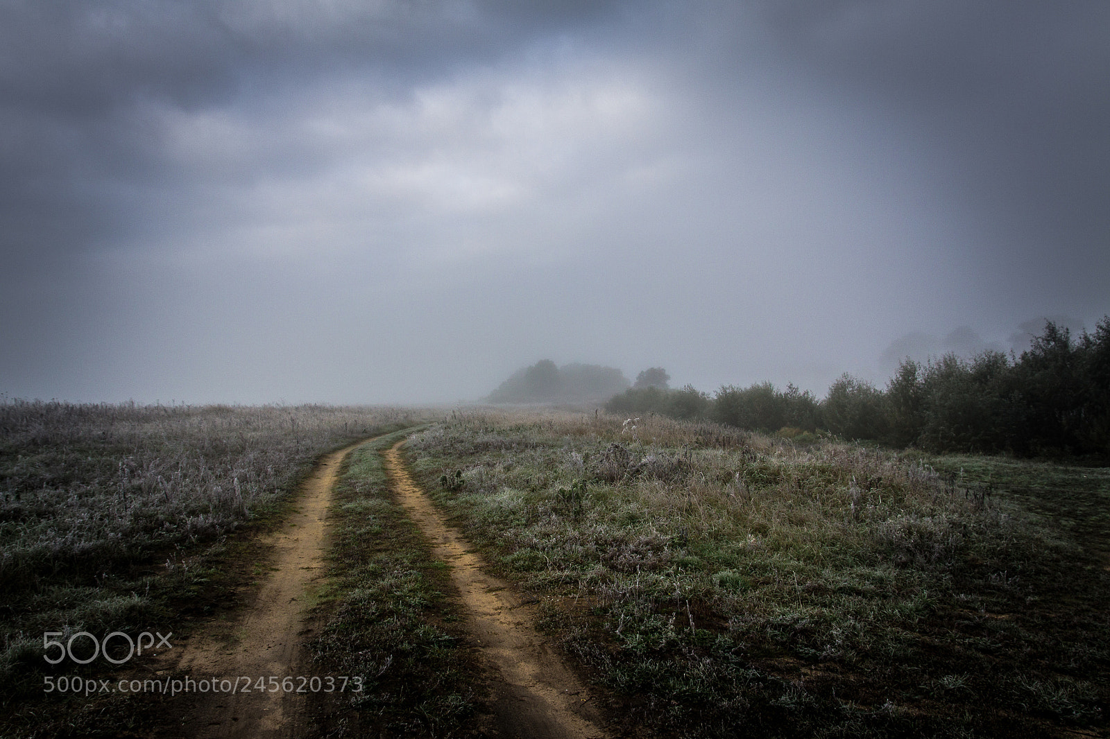 Canon EOS 50D sample photo. Road to fog photography