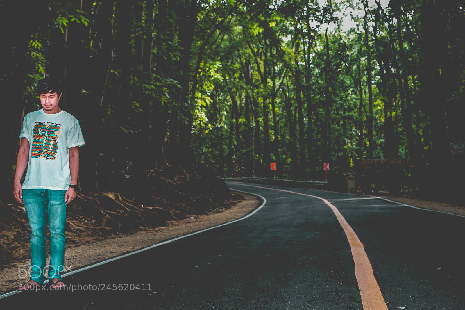 Nikon D5500 sample photo. Man made mahogany forest photography