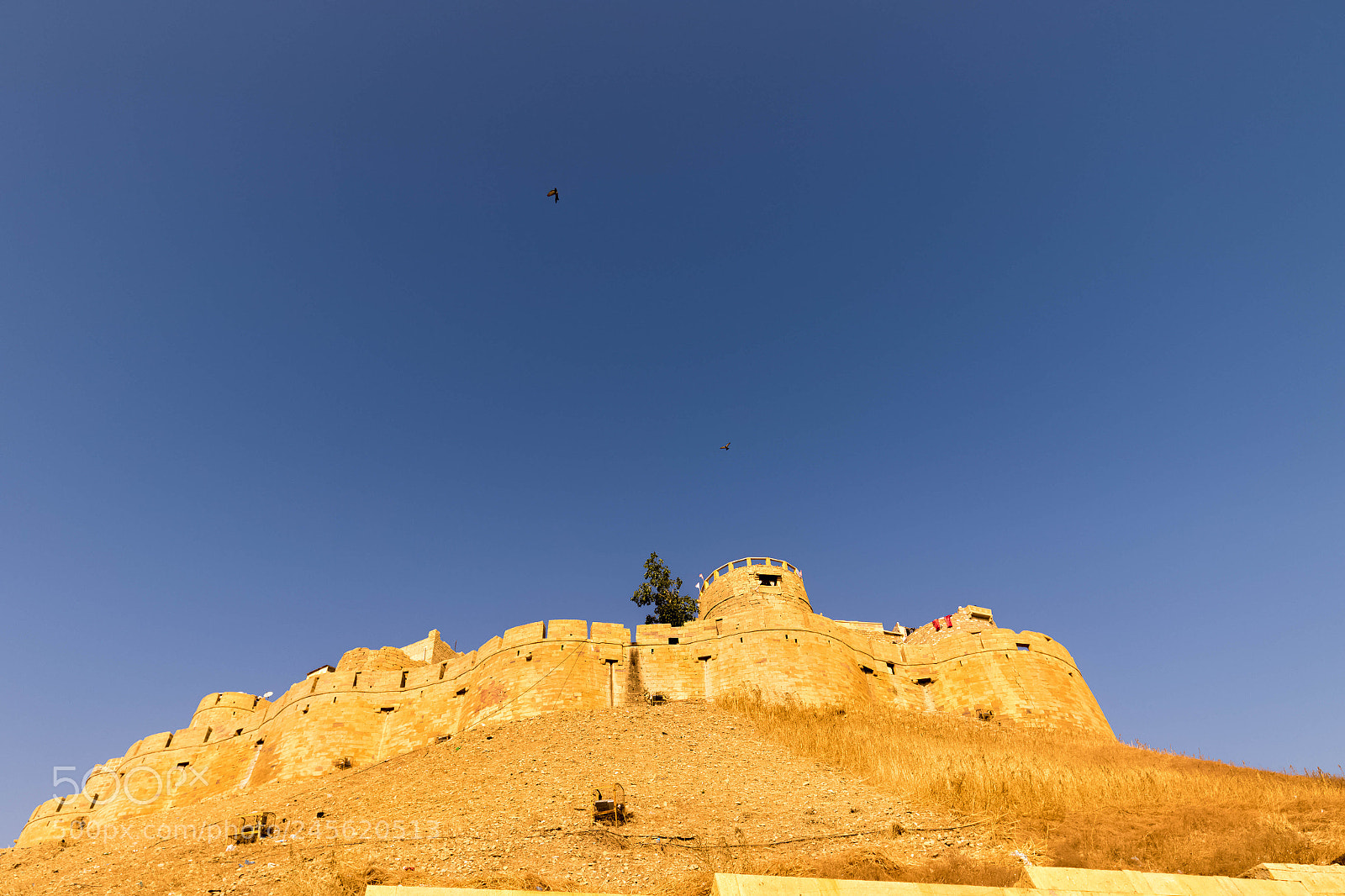 Canon EOS 7D Mark II sample photo. The golden fort of photography