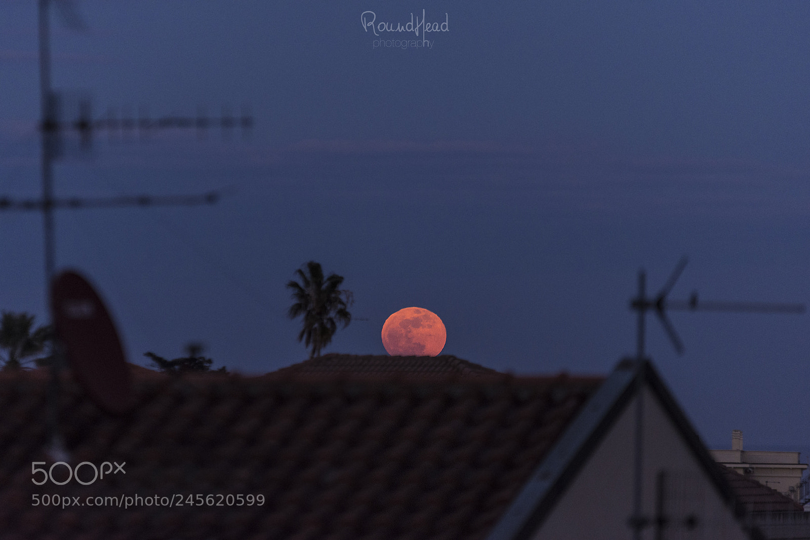Nikon D7200 sample photo. Blue moon photography