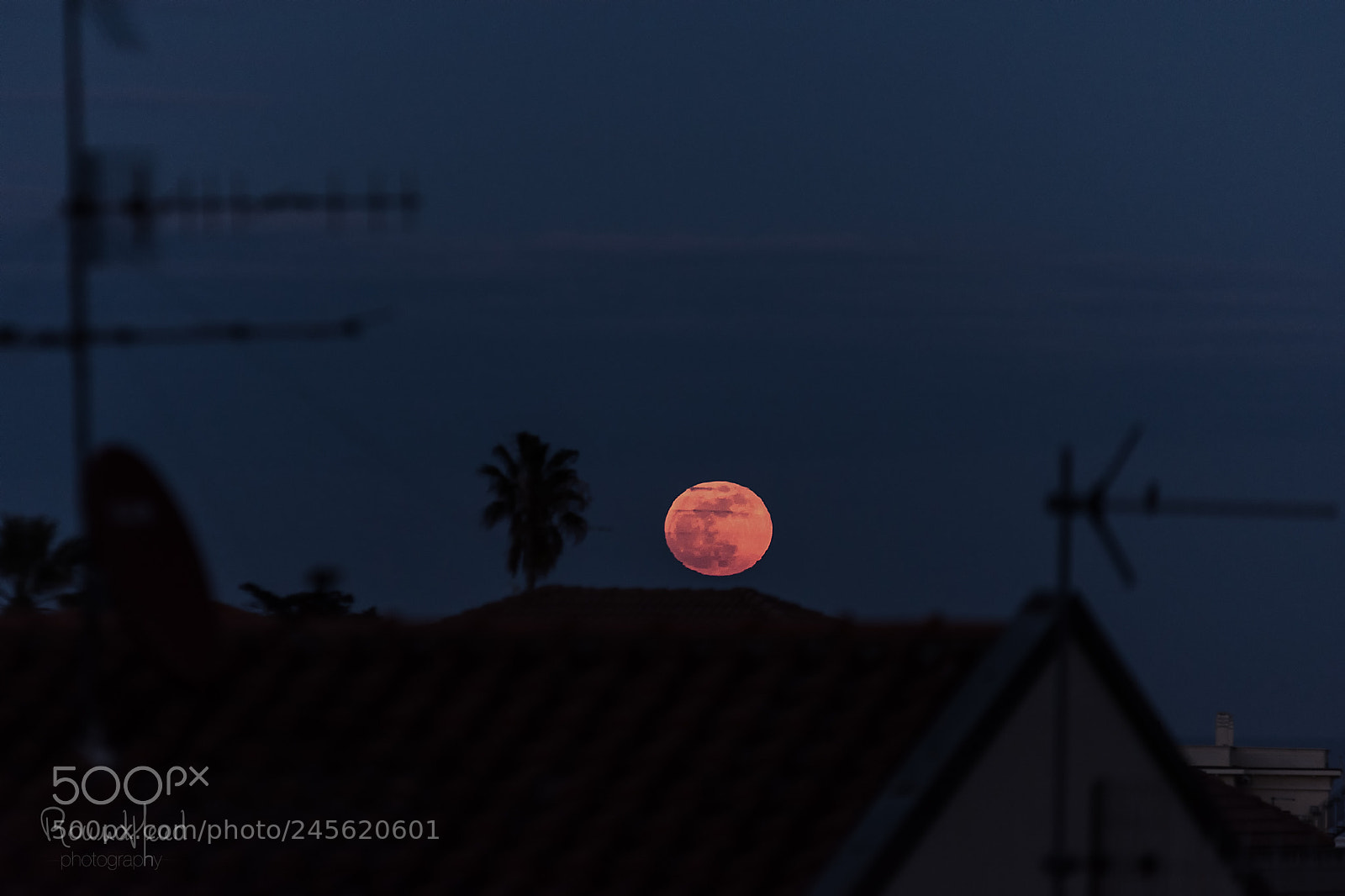 Nikon D7200 sample photo. Blue moon photography