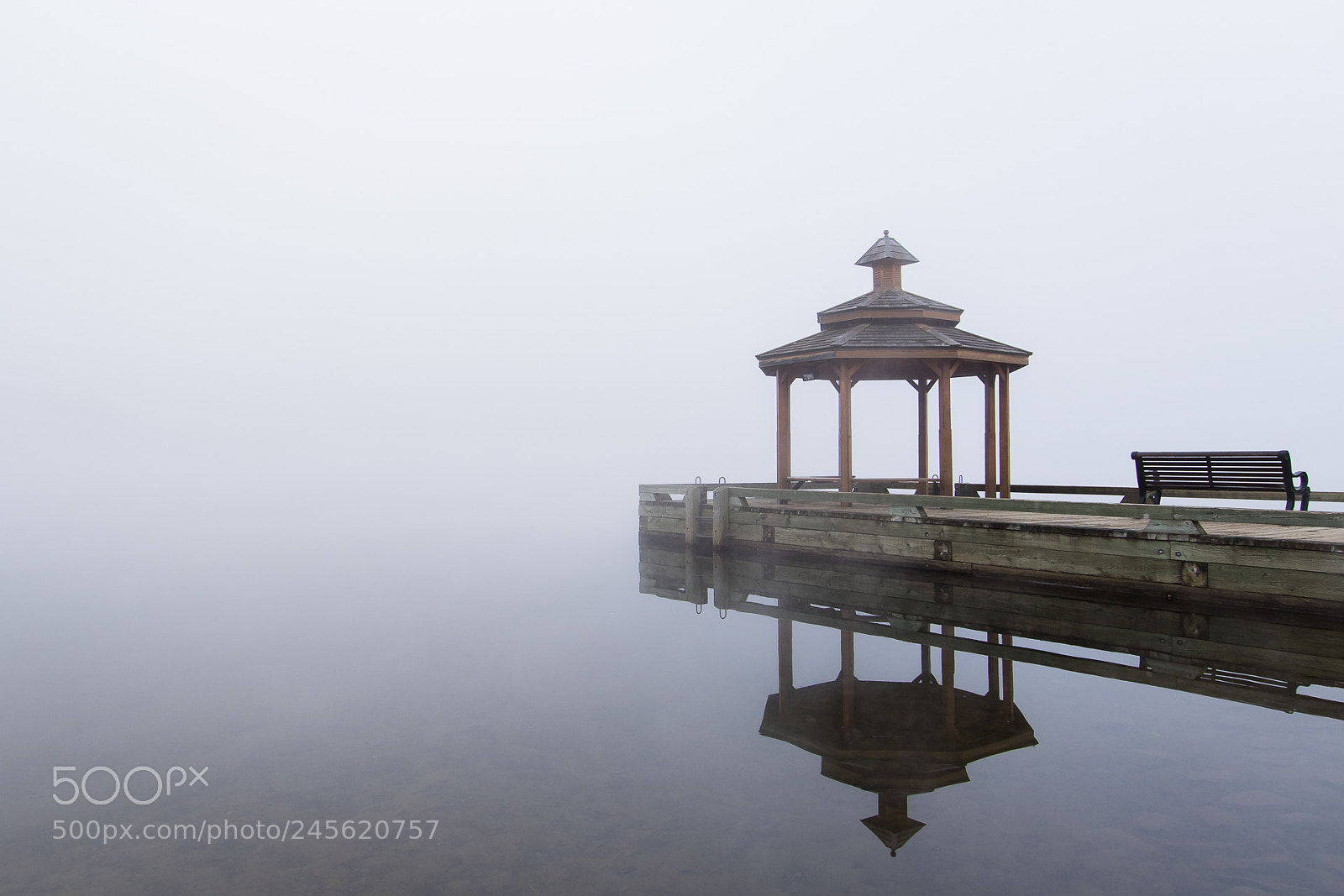 Canon EOS 7D Mark II sample photo. Nl brume web photography