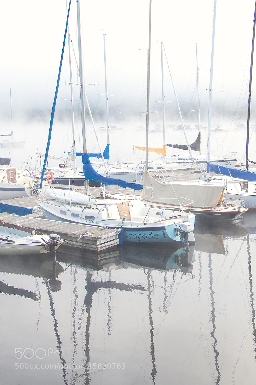 Canon EOS 7D Mark II sample photo. Nl brume web photography