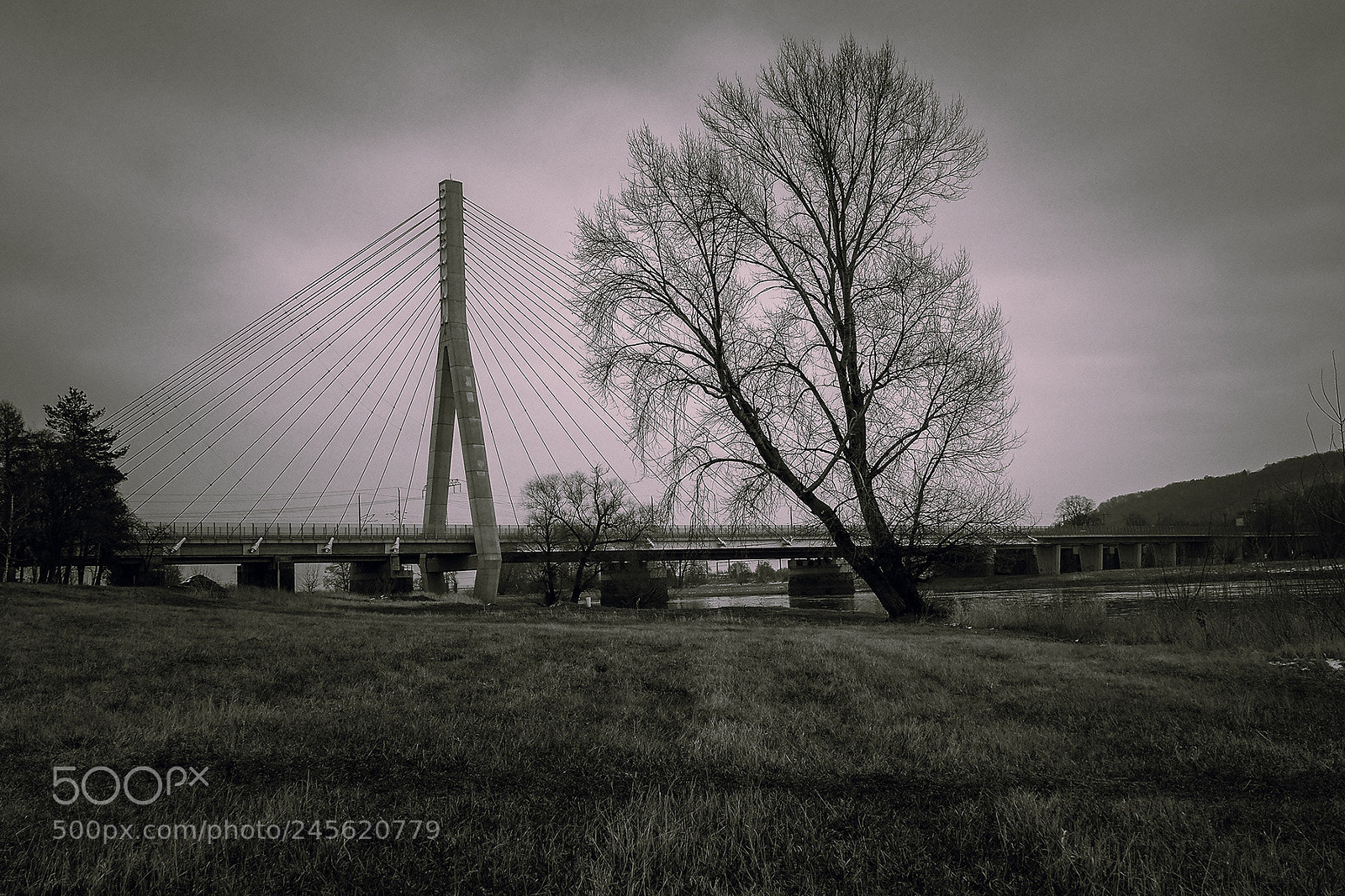 Olympus OM-D E-M10 II sample photo. The bridge... photography