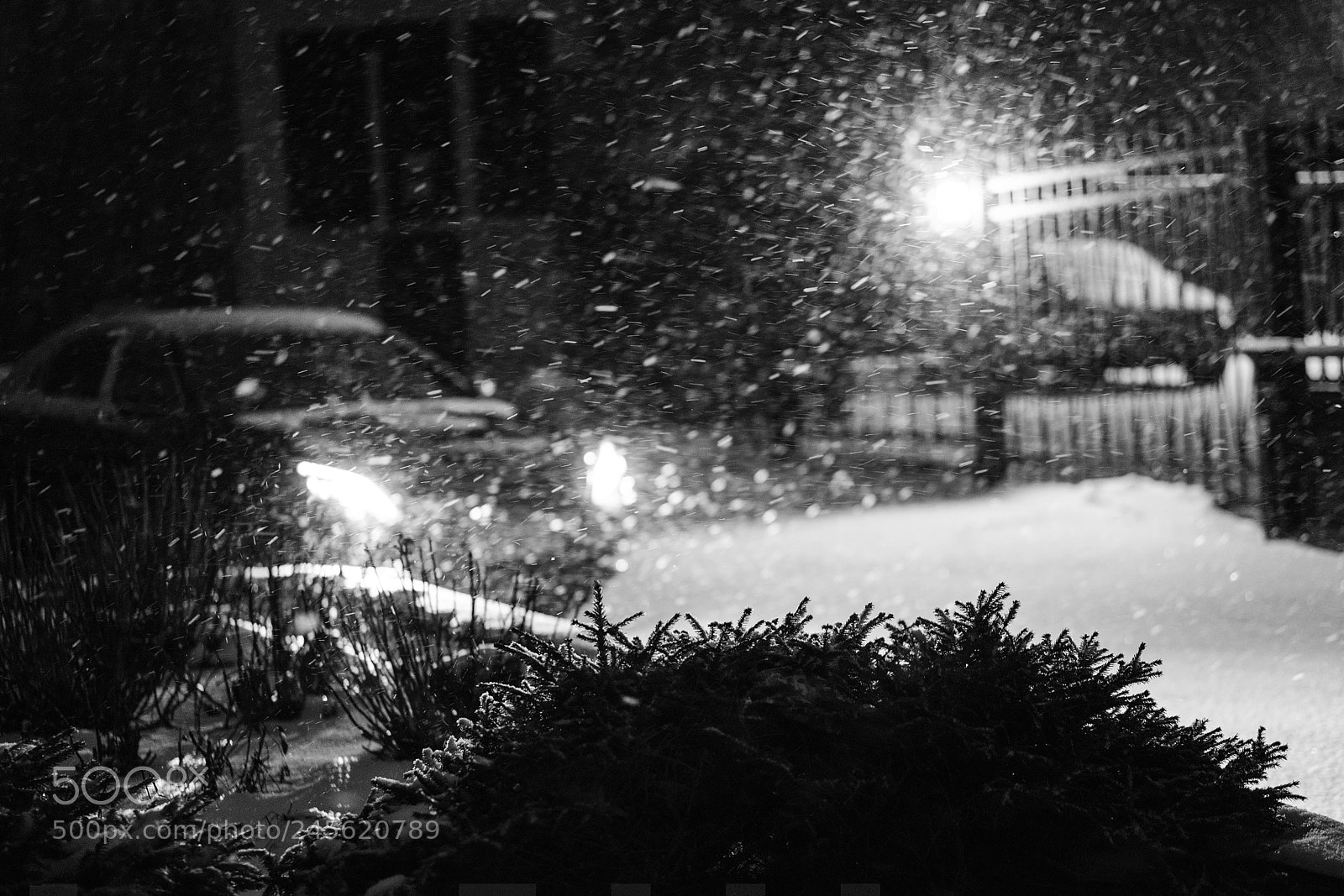 Sony a7R III sample photo. Blizzard photography