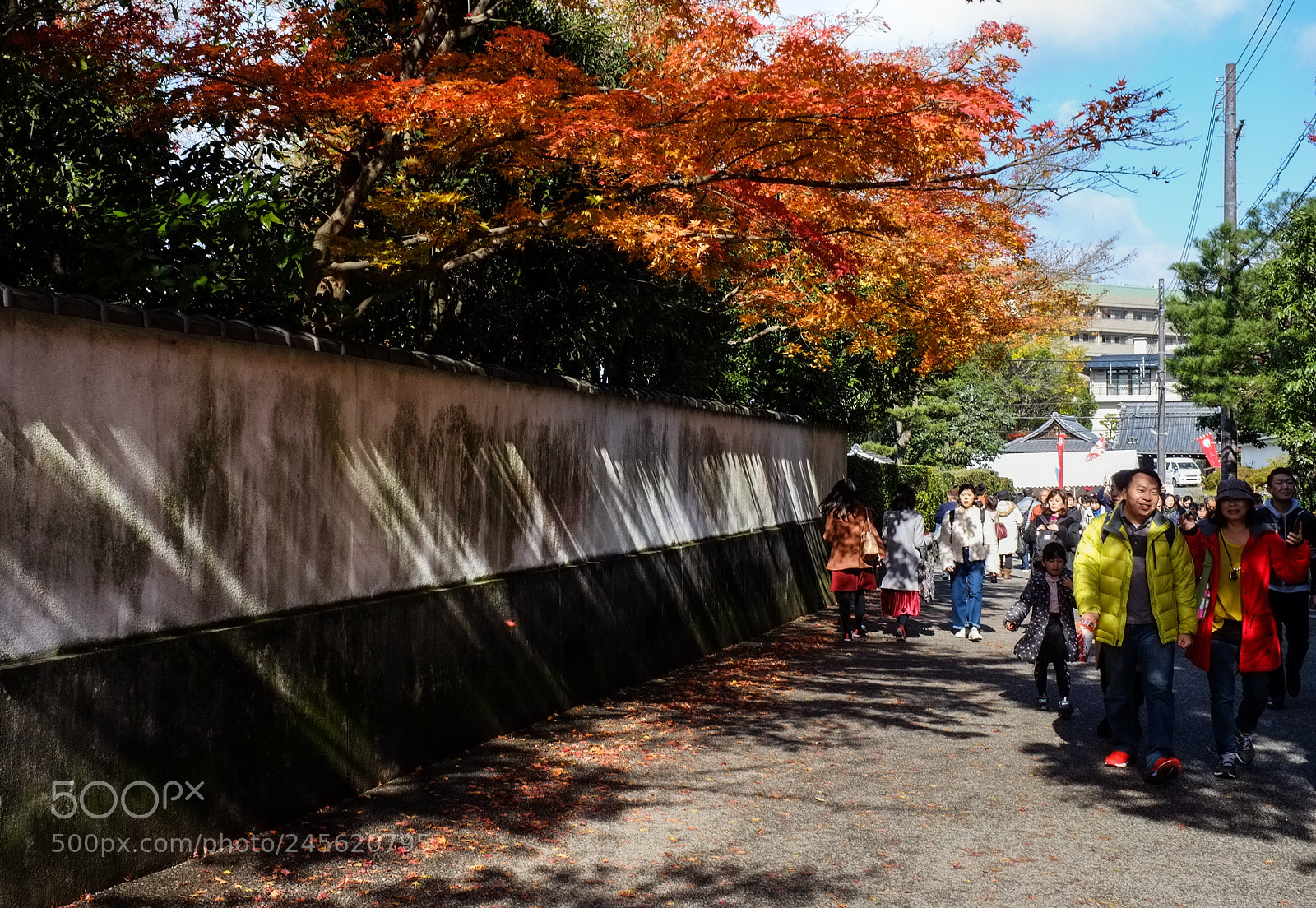Fujifilm FinePix X100 sample photo. Is fleeting photography
