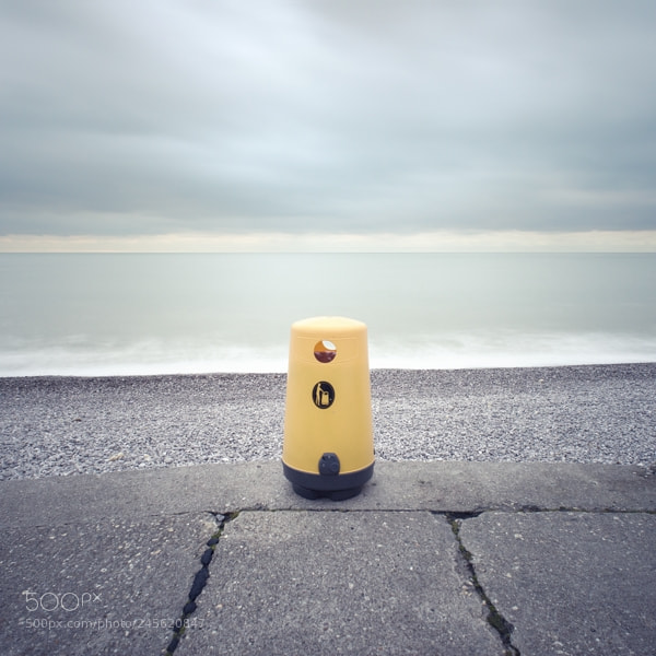 Nikon D800E sample photo. Que ne fus-je une photography