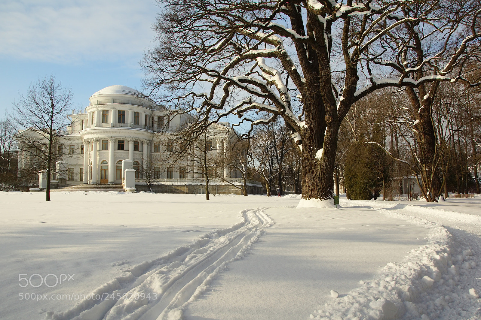 Sony SLT-A77 sample photo. Winter walk on elagin photography