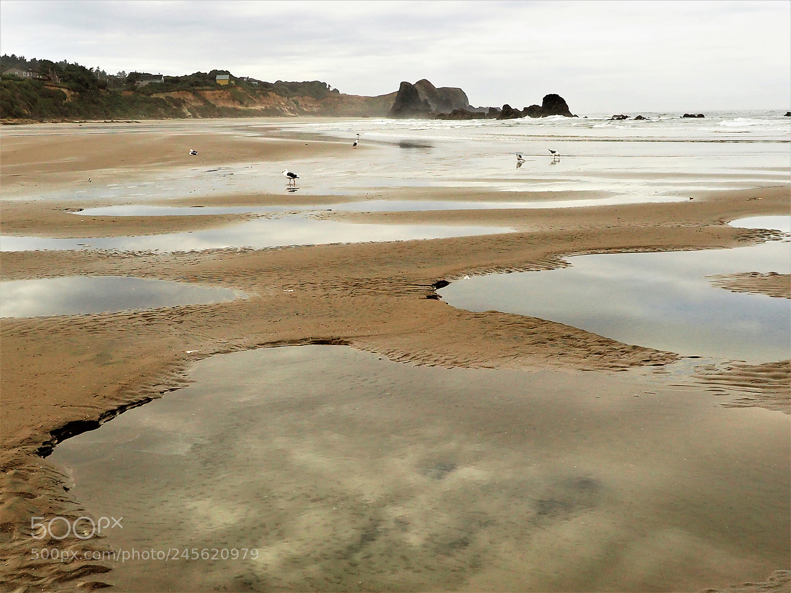 Olympus OM-D E-M5 II sample photo. Reflections in the ocean photography