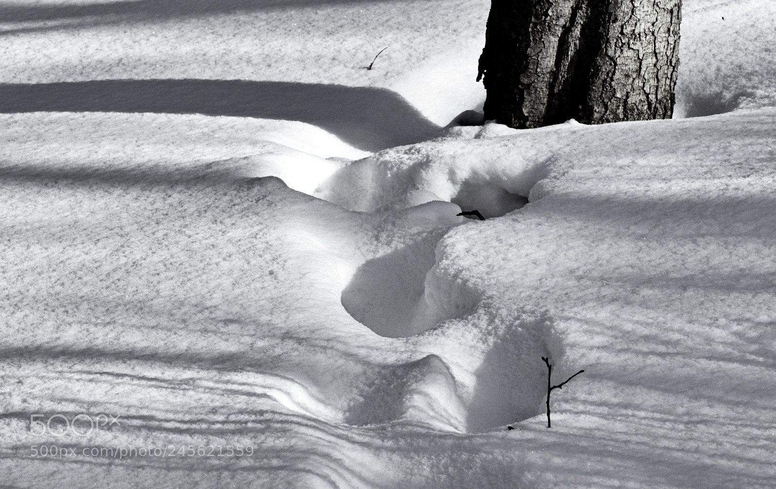 Sony SLT-A68 sample photo. Snow book photography