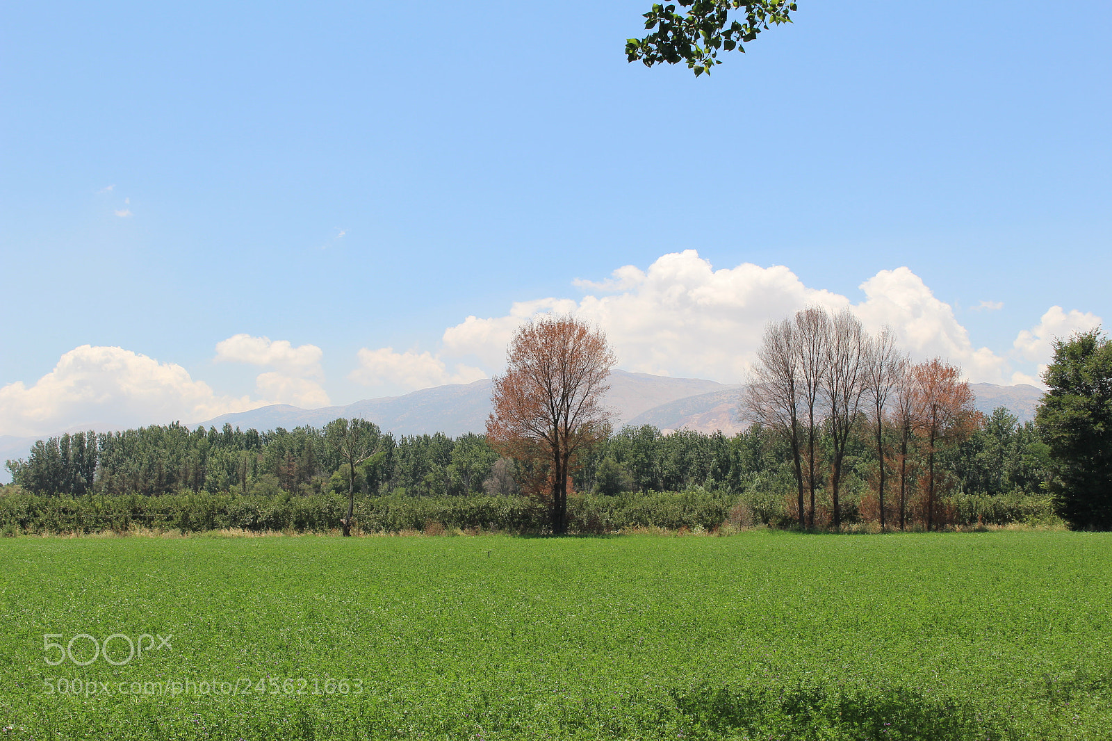 Canon EOS 100D (EOS Rebel SL1 / EOS Kiss X7) sample photo. Bright horizon photography