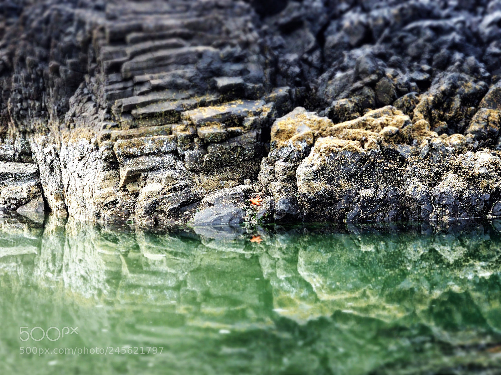 Olympus OM-D E-M5 II sample photo. Look hard for the photography