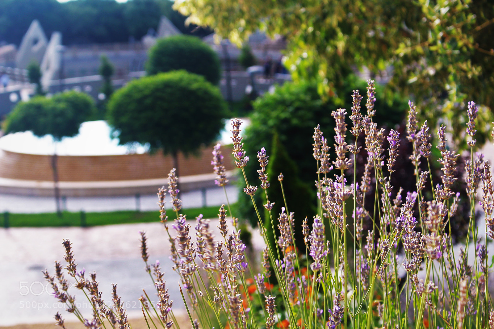 Canon EOS 100D (EOS Rebel SL1 / EOS Kiss X7) sample photo. Colorful life photography