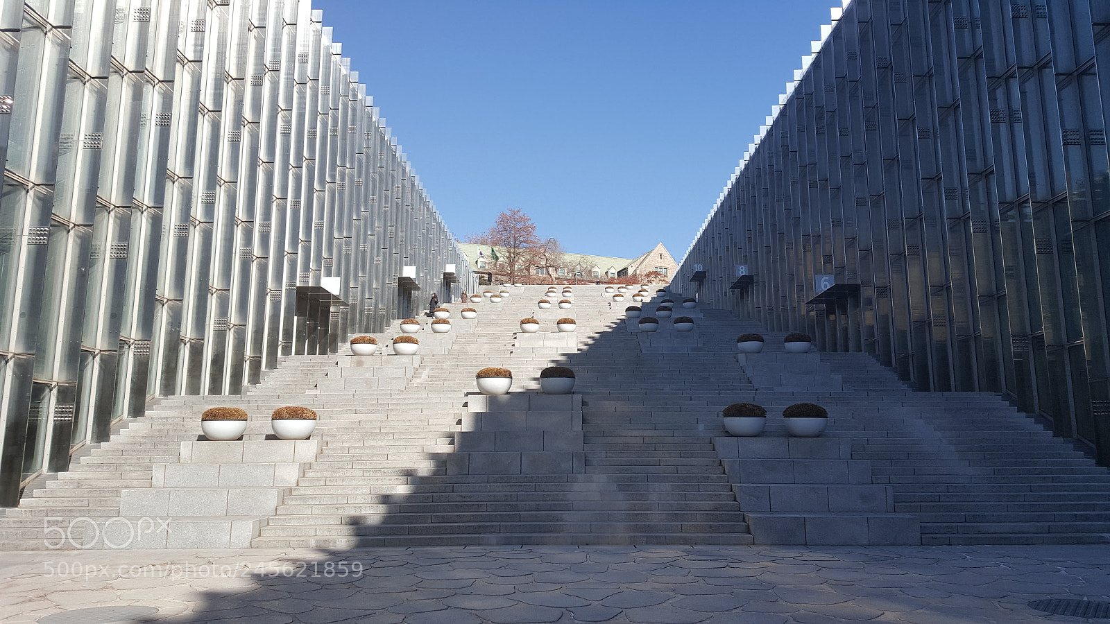 Samsung Galaxy Note5 sample photo. Ewha womans university photography