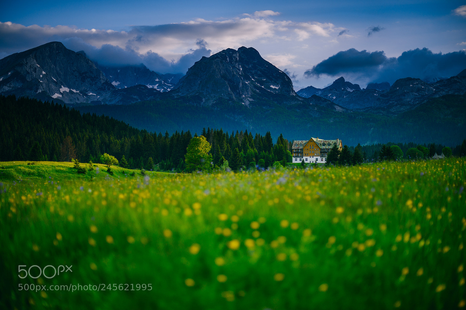 Nikon D810 sample photo. Durmitor, zabljak photography