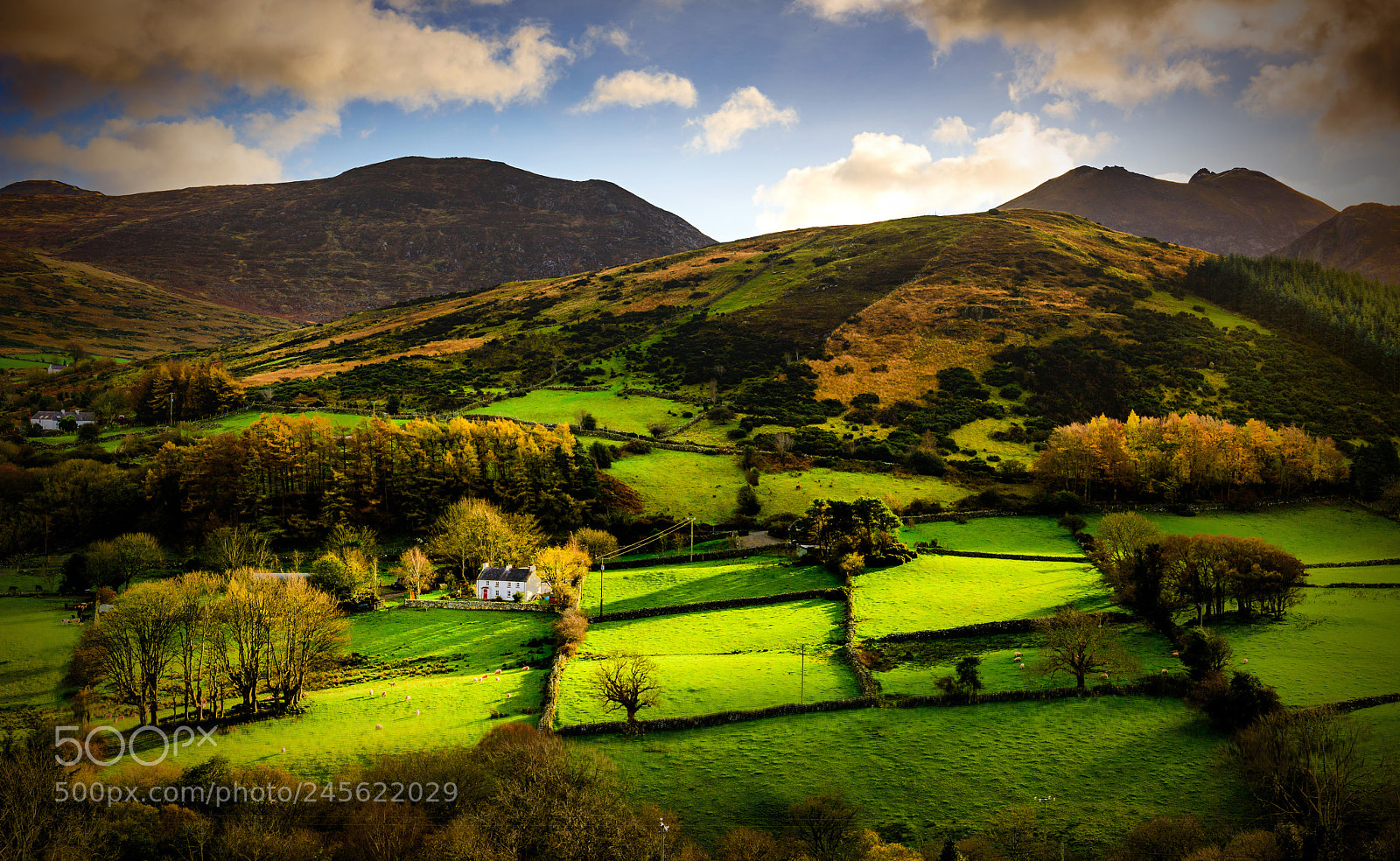 Nikon D810 sample photo. Trassey valley photography