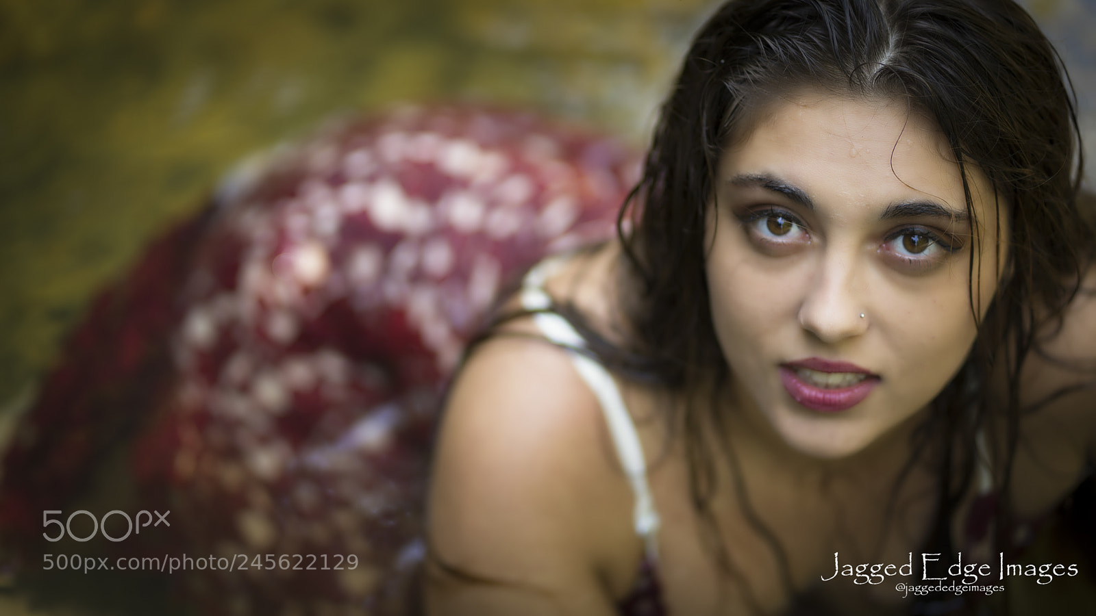 Sony a7 II sample photo. Abri (of ) photography