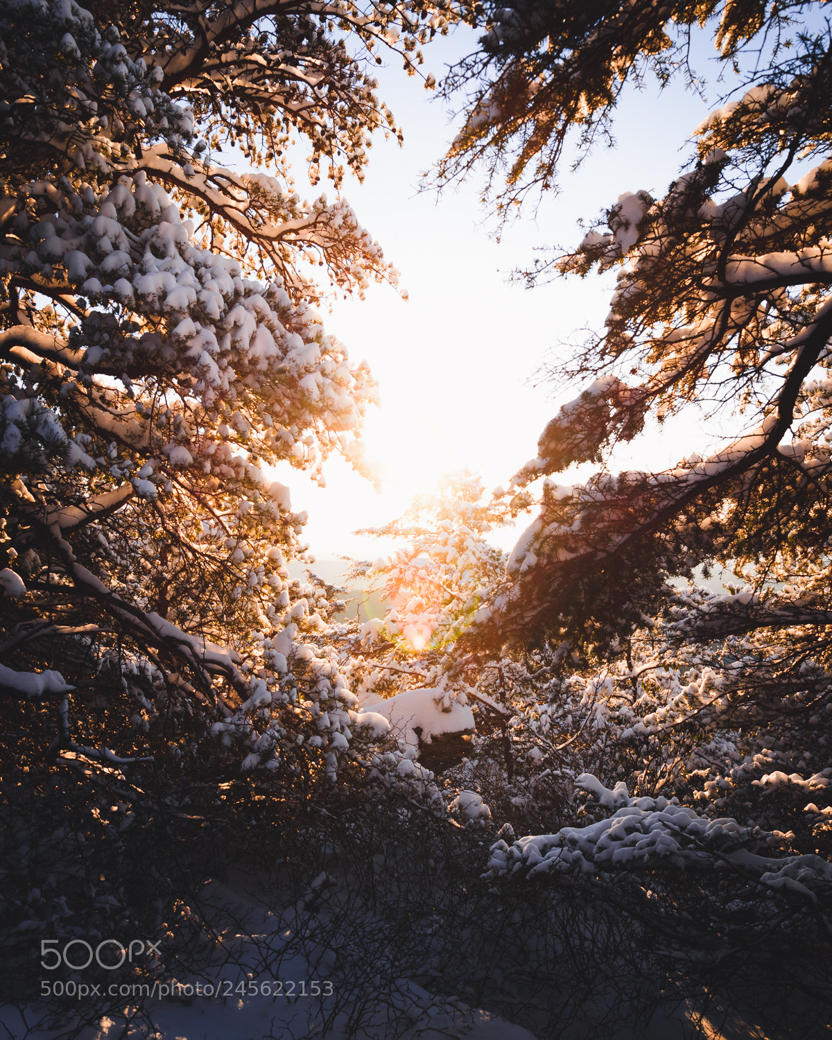 Nikon D600 sample photo. Snowy sunrise on hanging photography