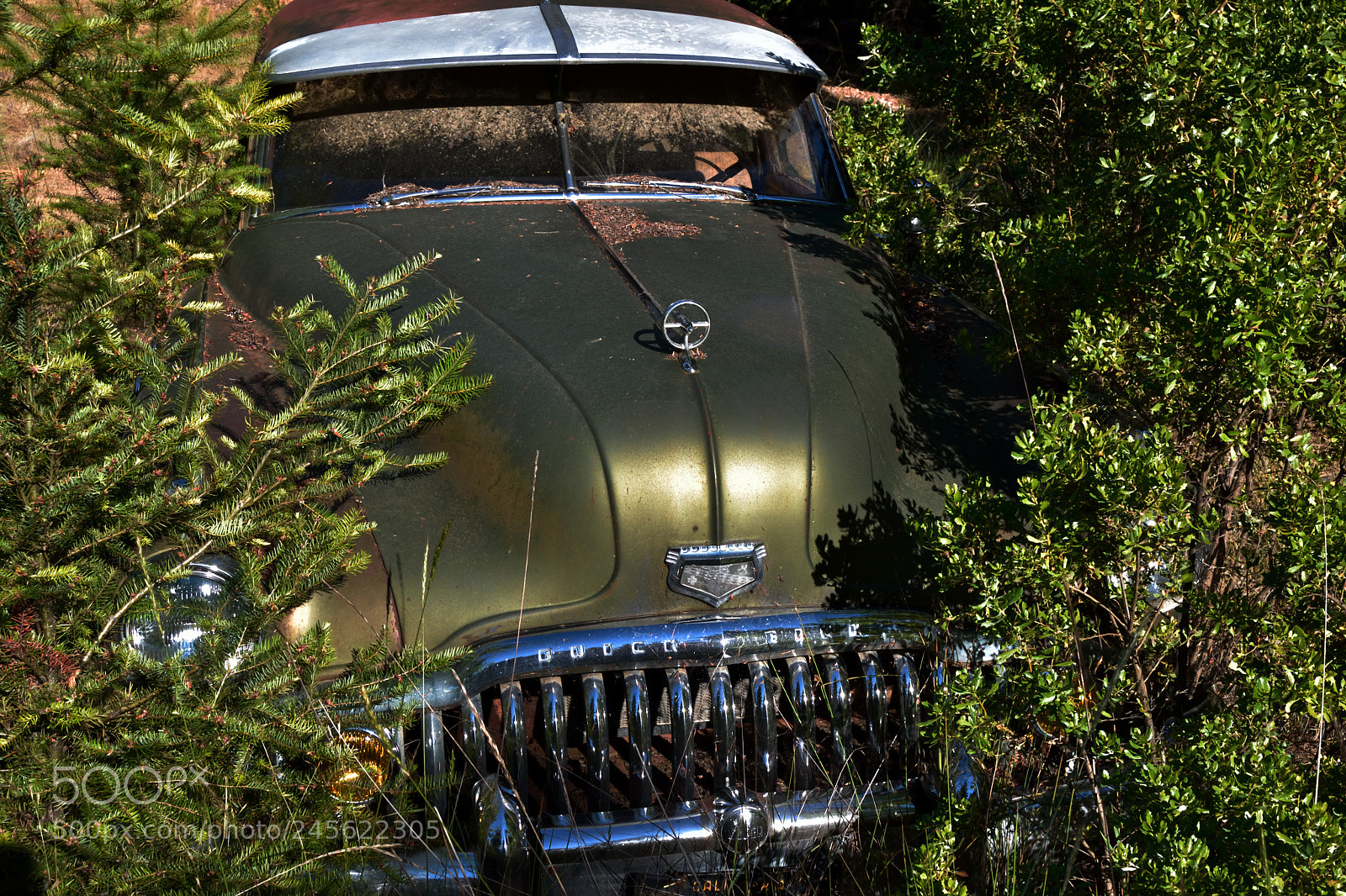 Nikon D3100 sample photo. Cars in the woods photography