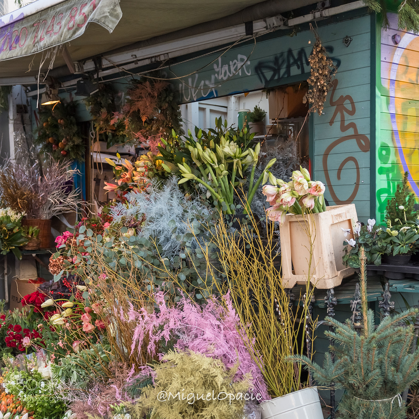 Nikon D5 sample photo. Street florists  photography