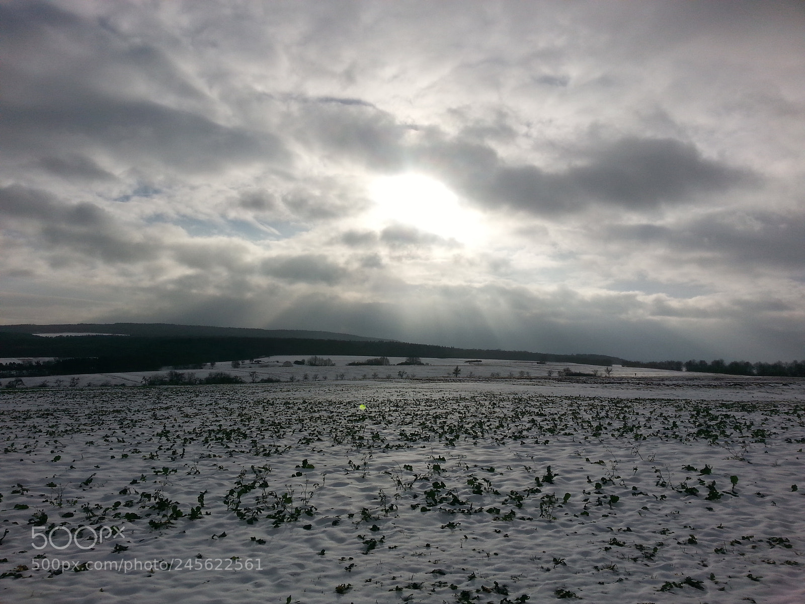 Samsung Galaxy S3 sample photo. Untitled photography