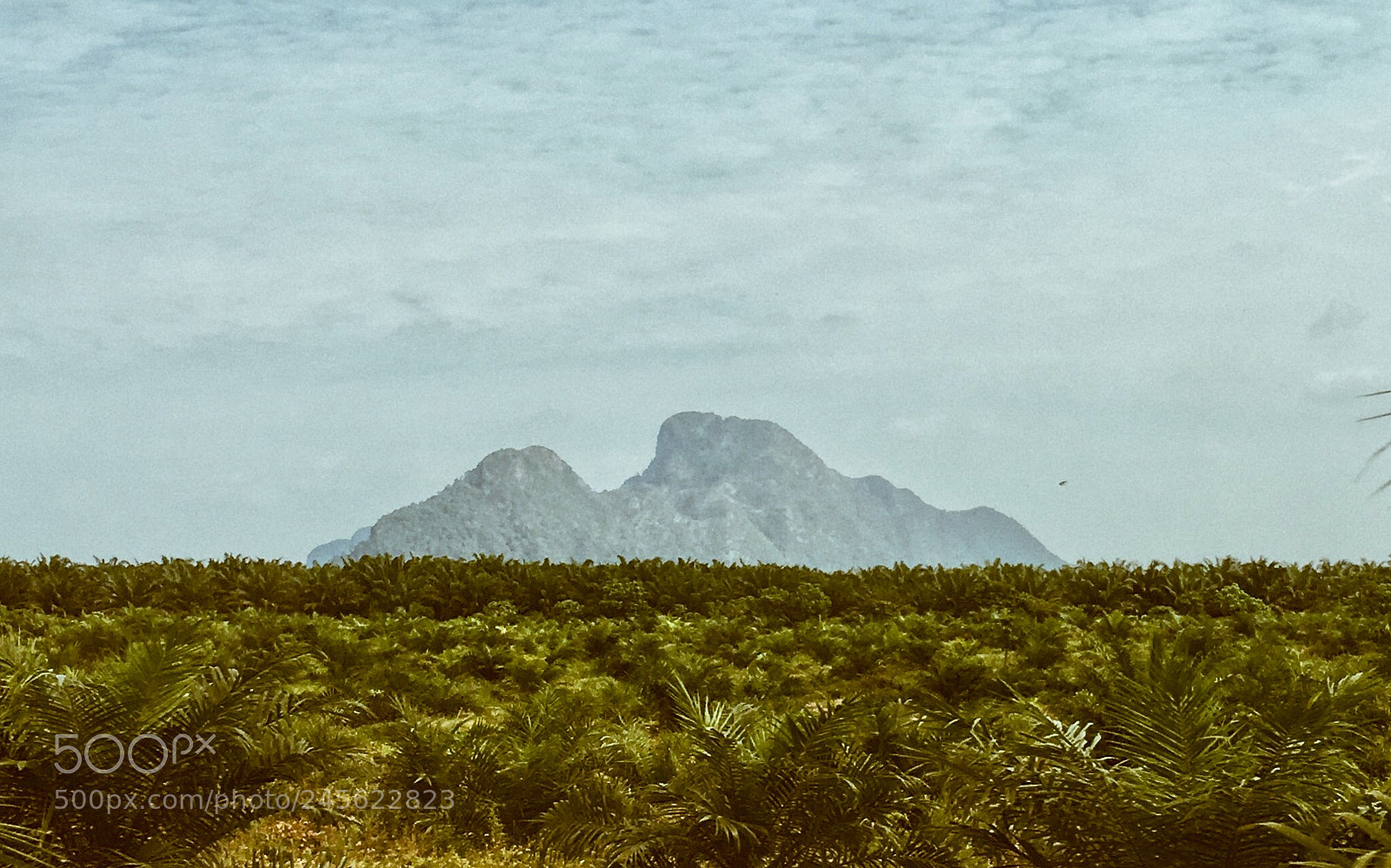 Apple iPhone 6s sample photo. Gunung senyum. somewhere in photography