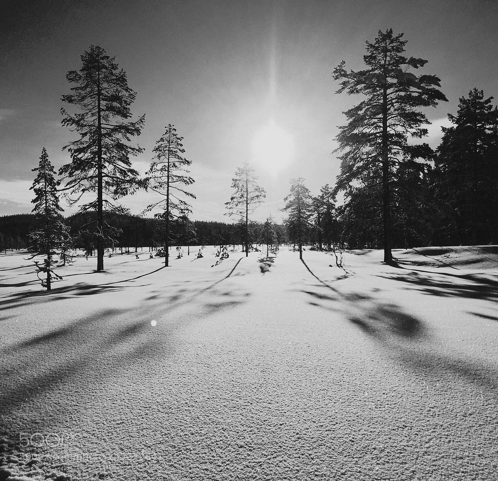 Apple iPhone 6 sample photo. A cold winterday photography